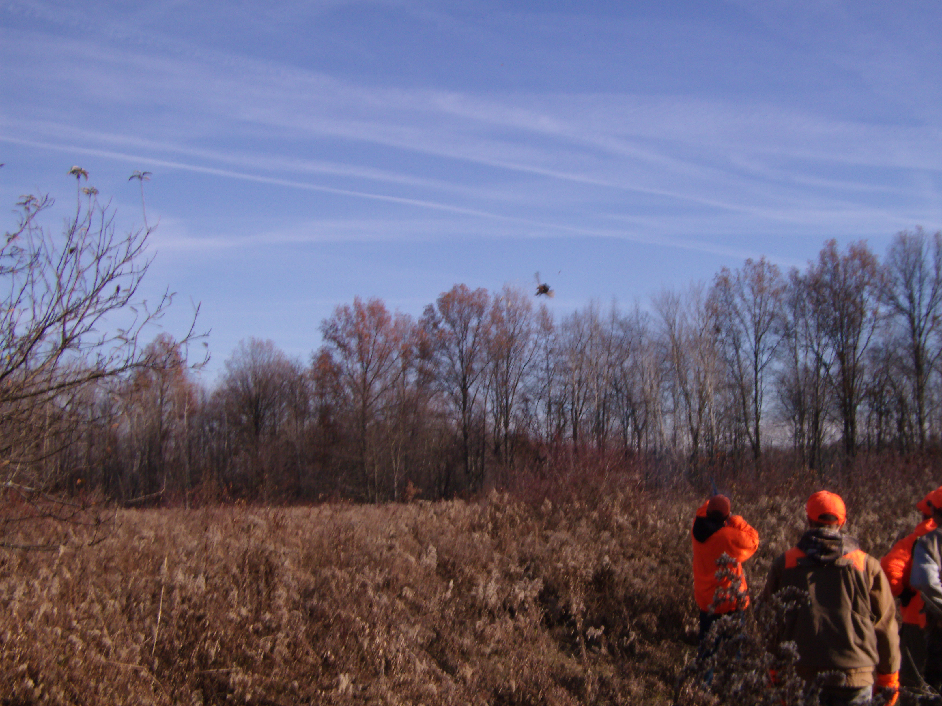 YOUTH PHEASANT HUNT 2010 Eagle Creek Conservation Club Northeast Ohio